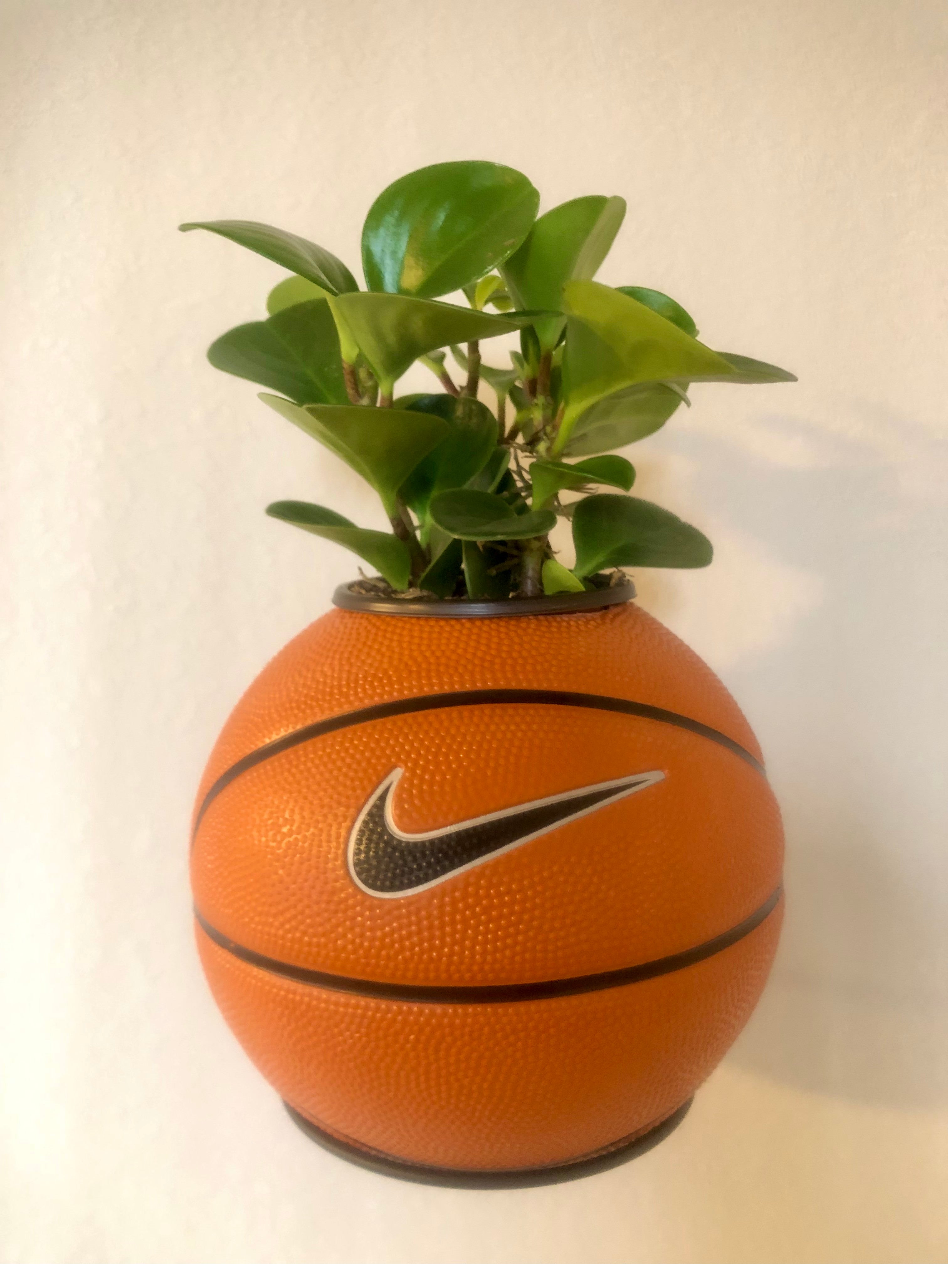 basketball plant pot Mini Traditional Basketball Planter – Tally Plant Club