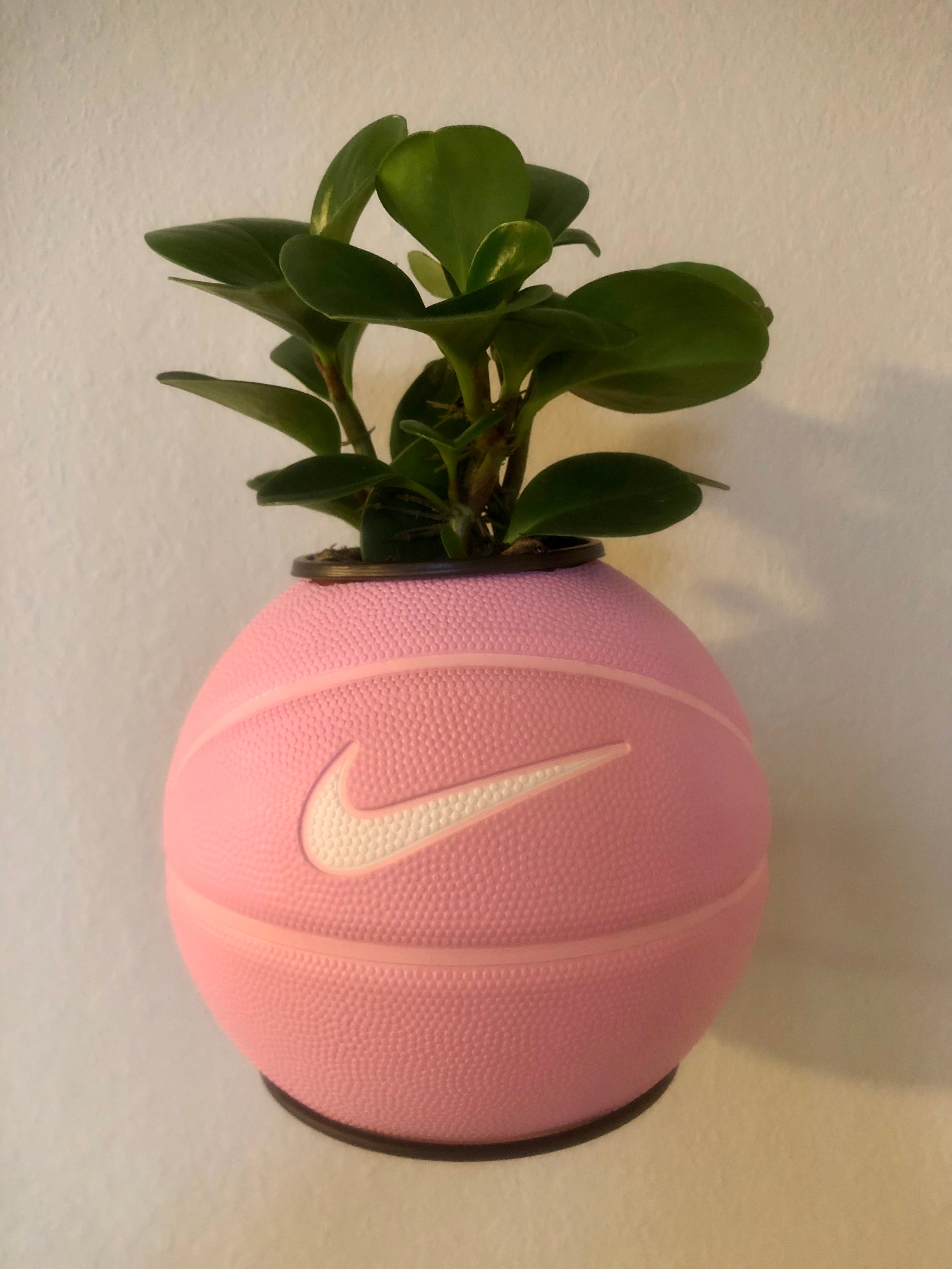 nike planter pot Baby Pink Basketball Planter – Tally Plant Club