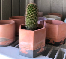 Load image into Gallery viewer, Desert - 3" Planters