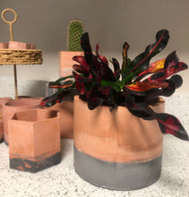 Load image into Gallery viewer, Desert - 5" Planter
