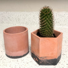 Load image into Gallery viewer, Desert - 3" Planters