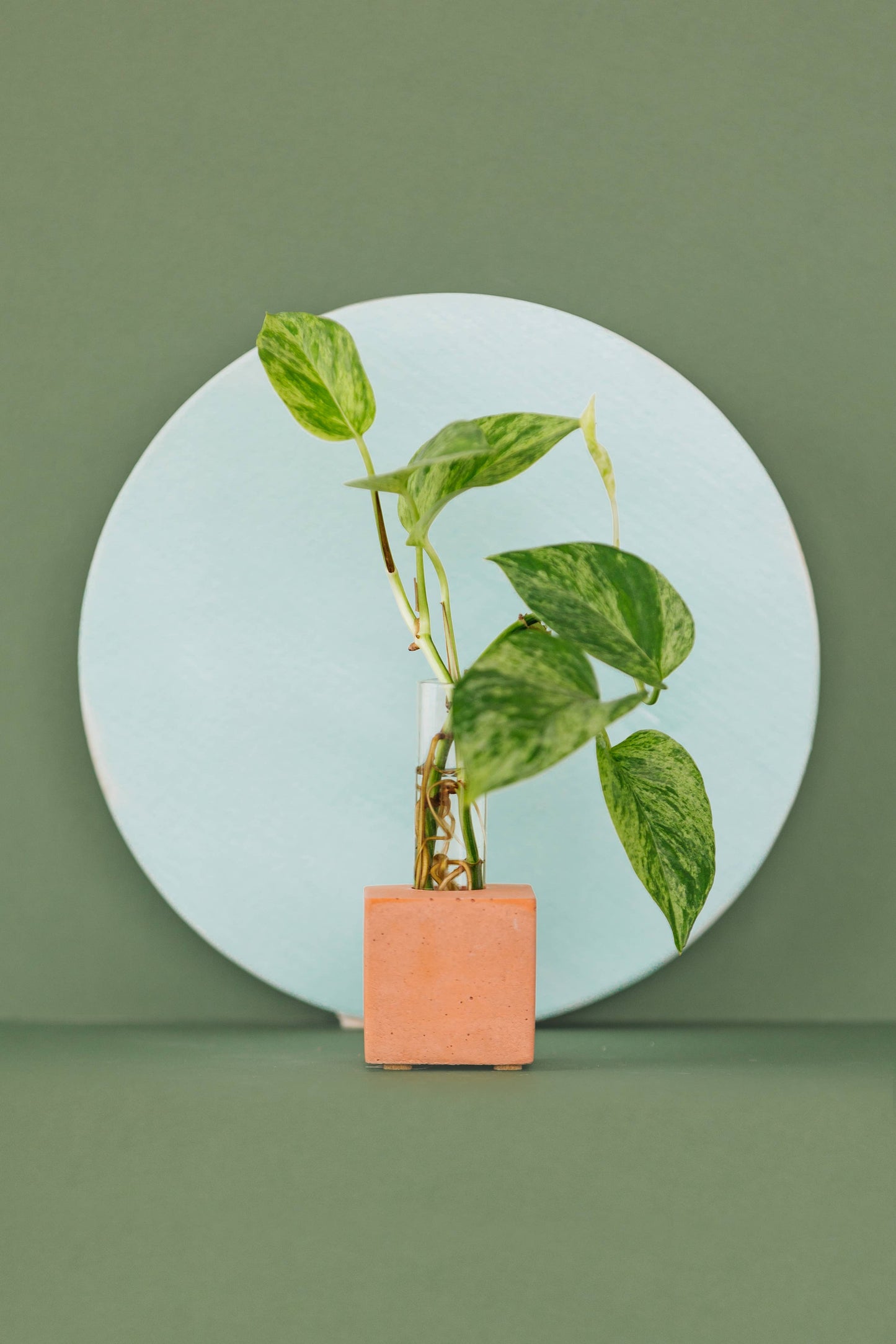 Propagation Vase - terracotta