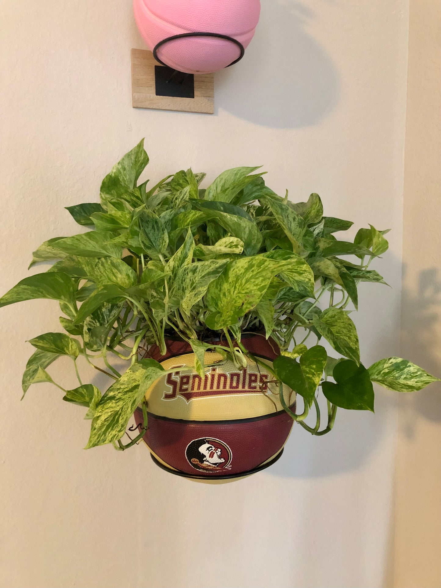 FSU Seminoles Basketball Planter
