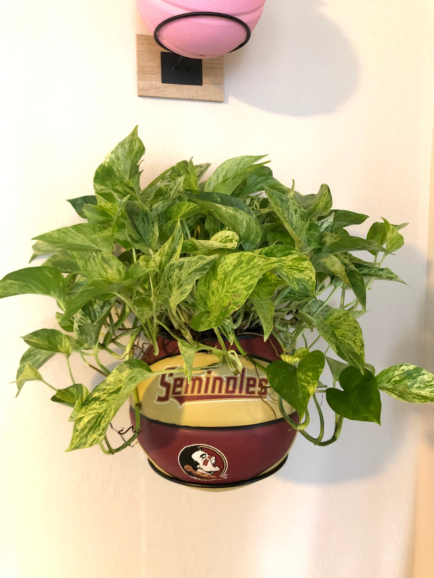 FSU Seminoles Basketball Planter