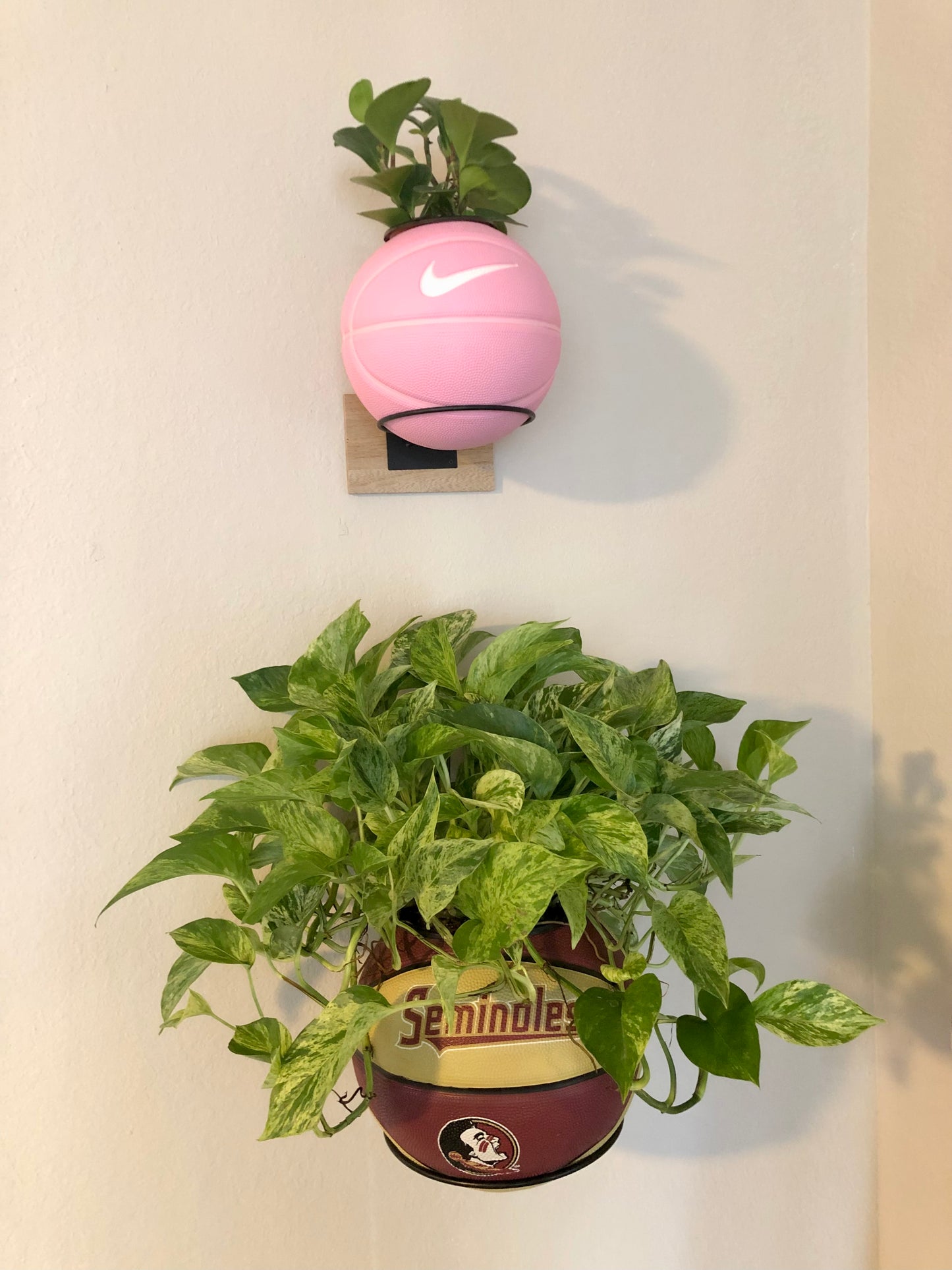 FSU Seminoles Basketball Planter
