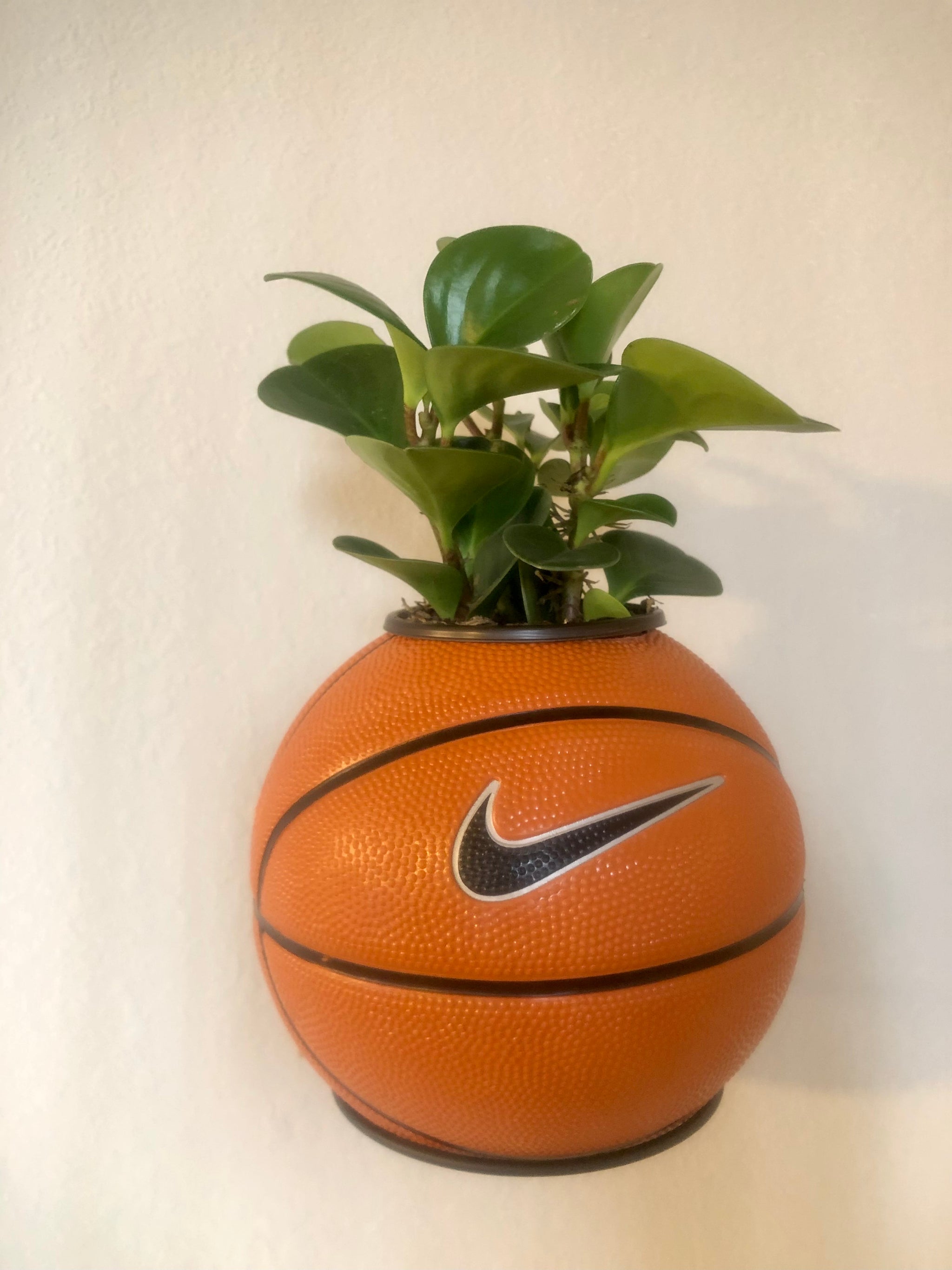 Plntrs - Jordan Vintage Mini Basketball Planter - new ball store with stand