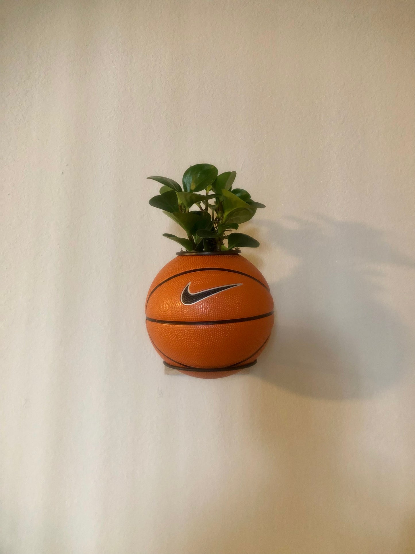 Mini Traditional Basketball Planter – Tally Plant Club