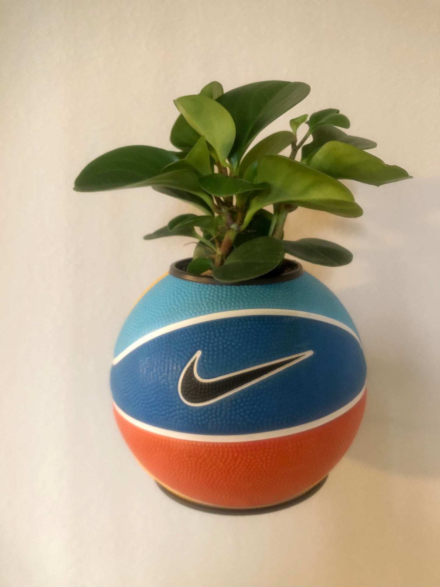 Mini Multi-Color Basketball Planter