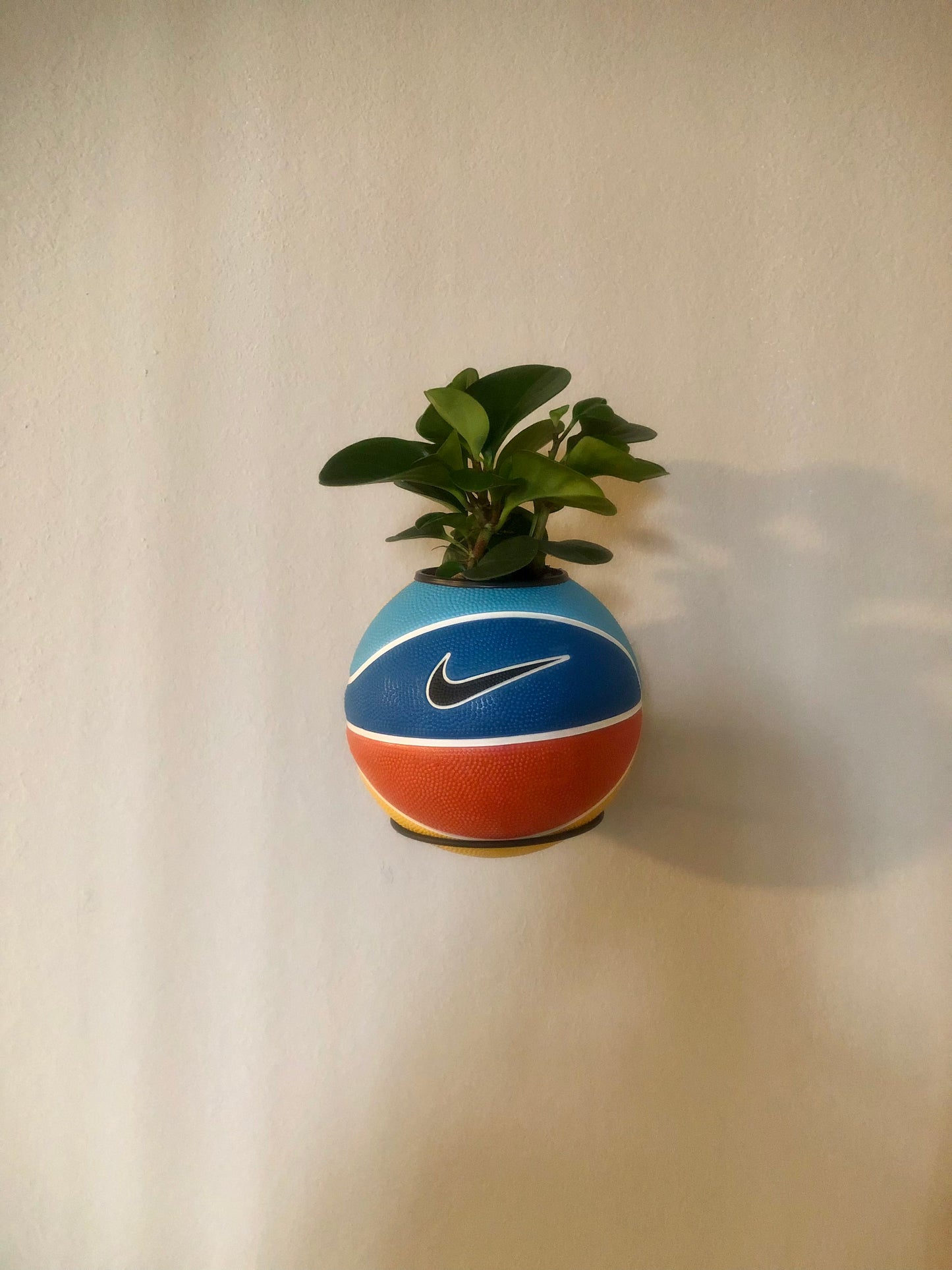 Mini Multi-Color Basketball Planter