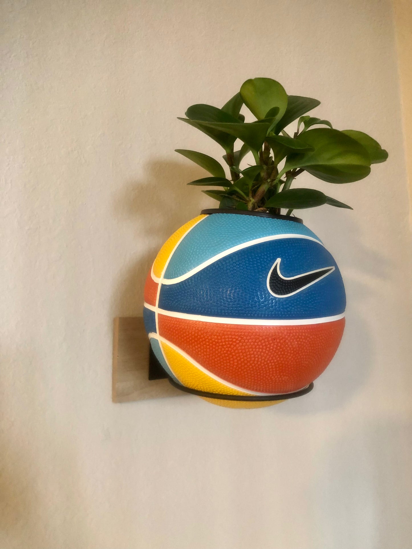 Mini Multi-Color Basketball Planter