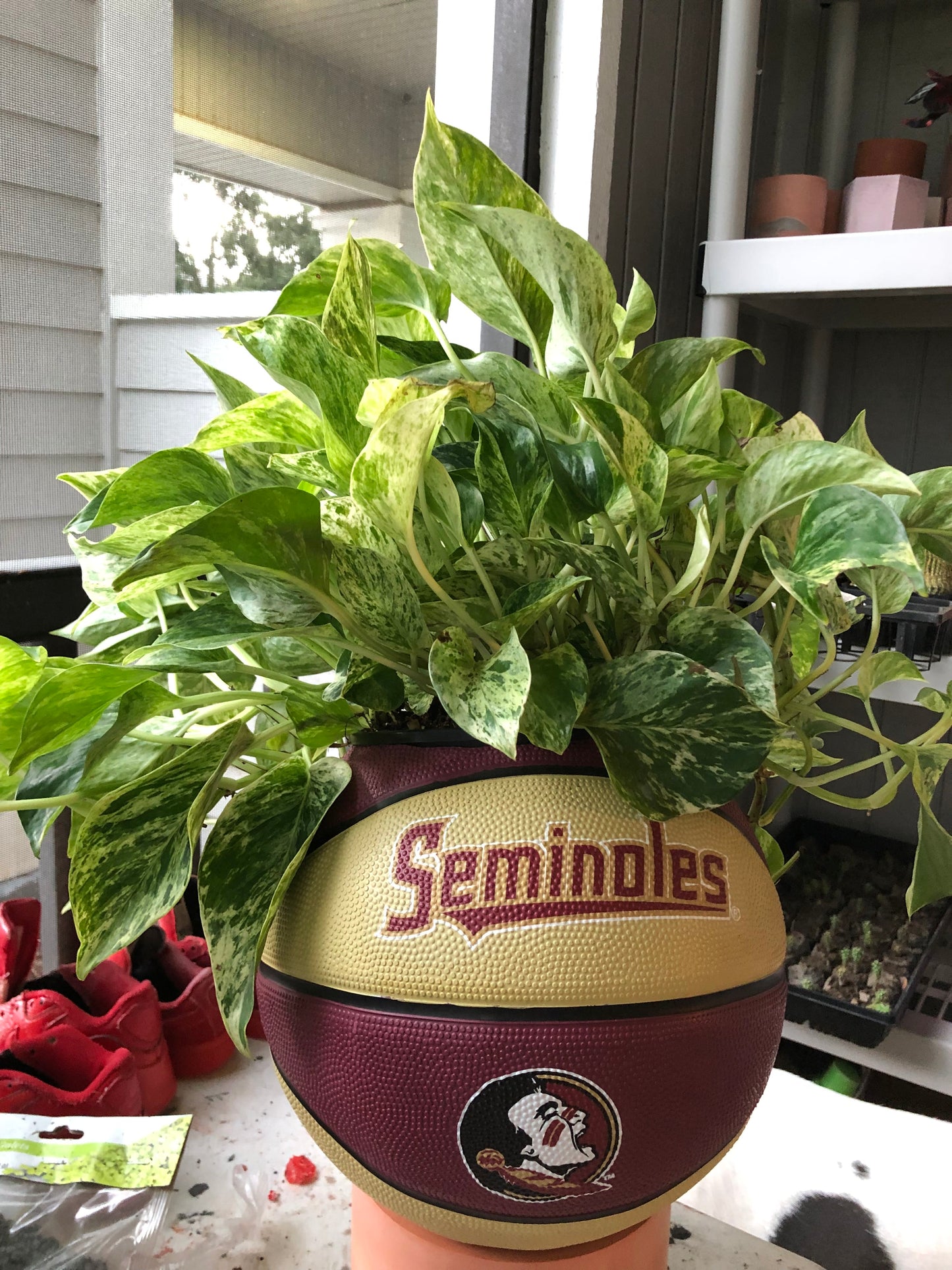 FSU Seminoles Basketball Planter