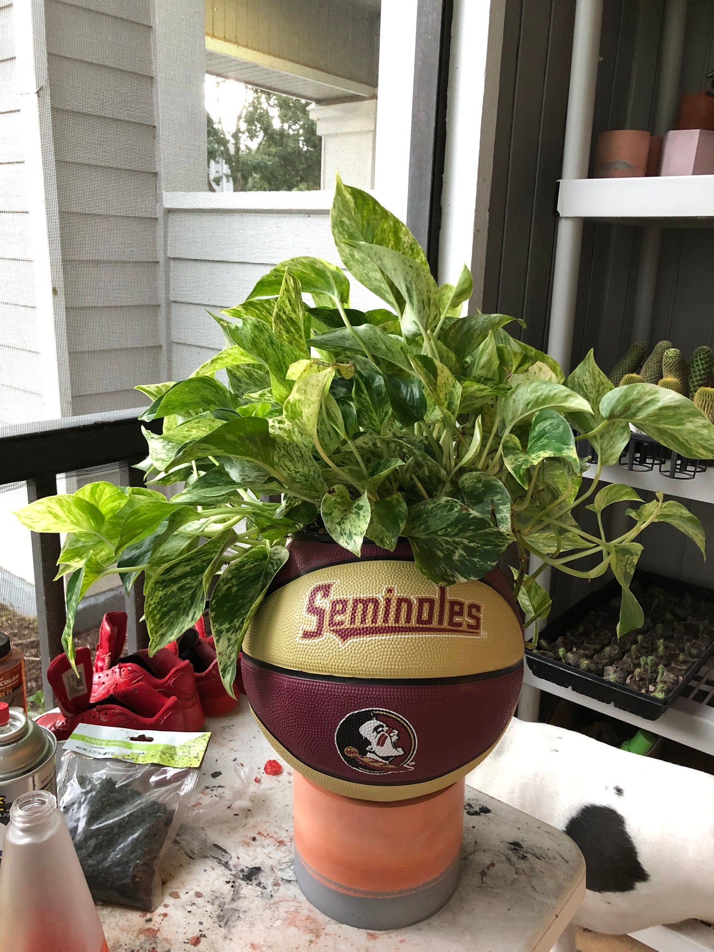 FSU Seminoles Basketball Planter