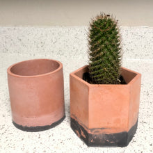 Load image into Gallery viewer, Desert - 3&quot; Planters
